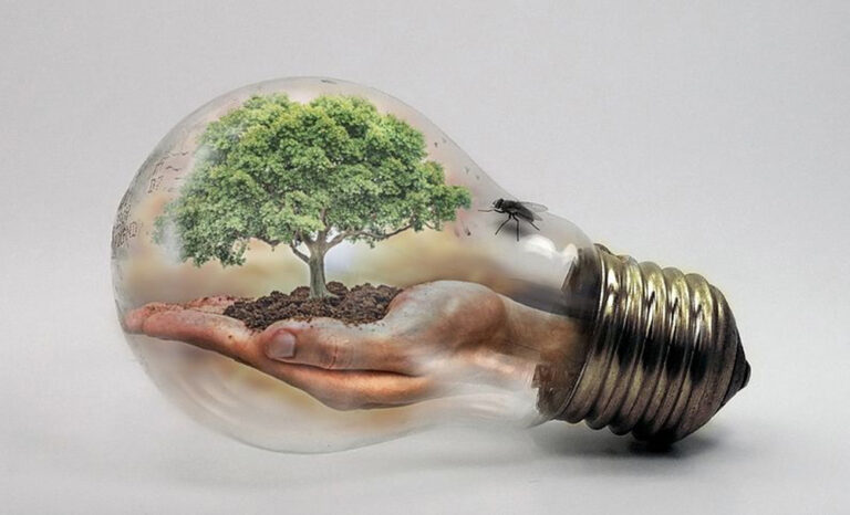 Progetto “Salviamo l’ambiente… A scuola di educAzione ambientale e di inclusivita’ per un futuro di pace”